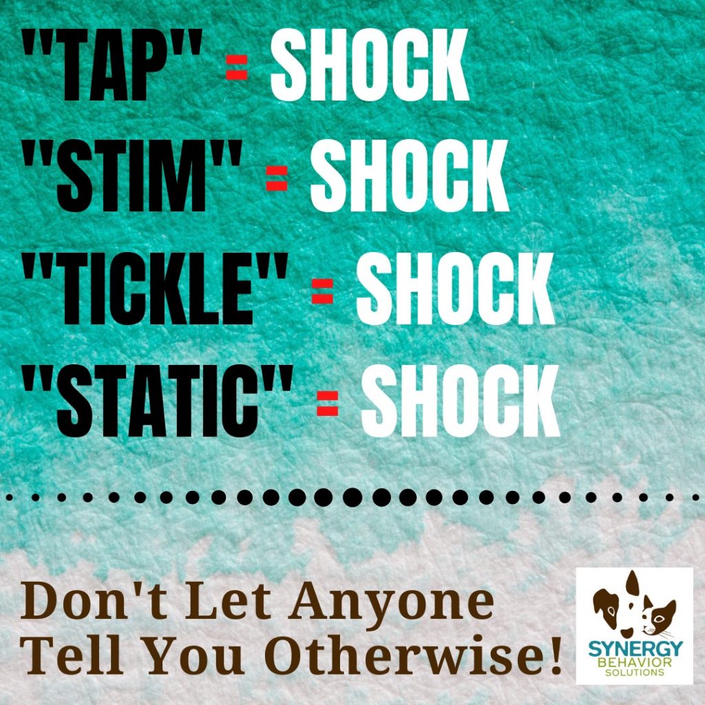 shock-means-shock-portland-oregon-synergy-behavior-solutions